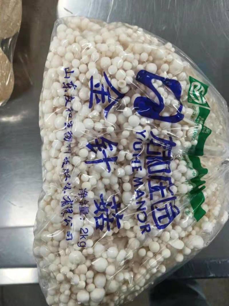 基地直发金针菇