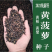 新采黄柏种子黄檗元柏檗木黄菠萝绿化行道林木种子