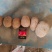 【精选土豆】甘肃土豆大量上市规格齐全口感好量大从优