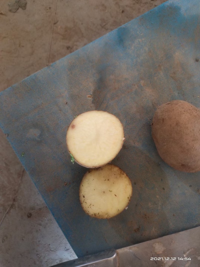 【精选土豆】甘肃土豆大量上市规格齐全口感好量大从优