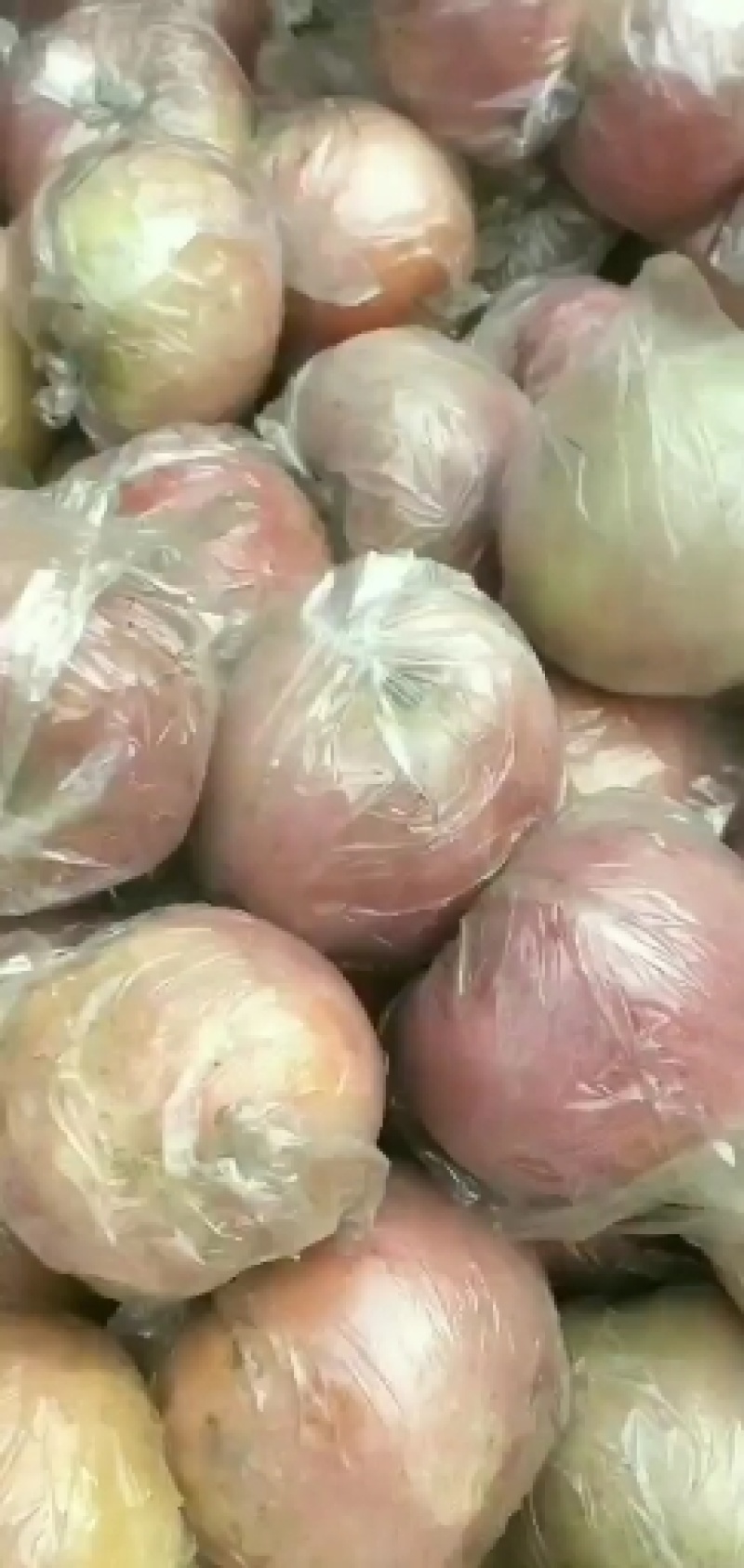 山东膜袋红富士一件代发