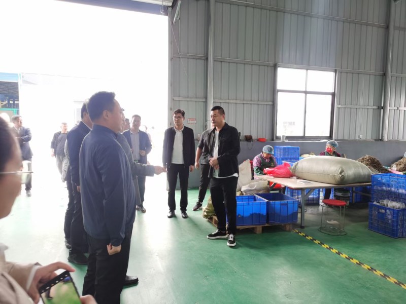 精选艾条三九灸南阳纯正艾绒三年陈艾艾条20：1