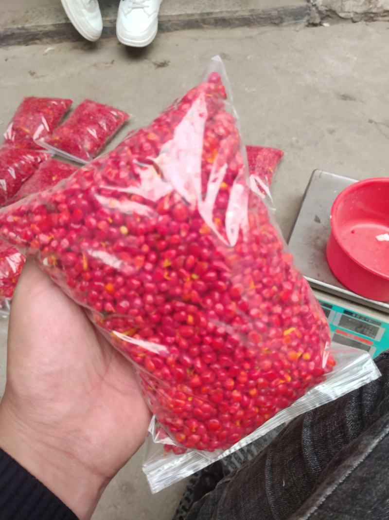 云南滇重楼矮杆多芽的发芽率90%以上提供种植技术