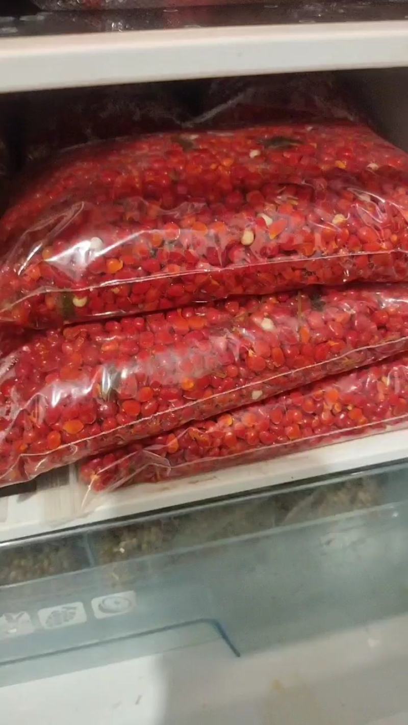 云南滇重楼矮杆多芽的发芽率90%以上提供种植技术