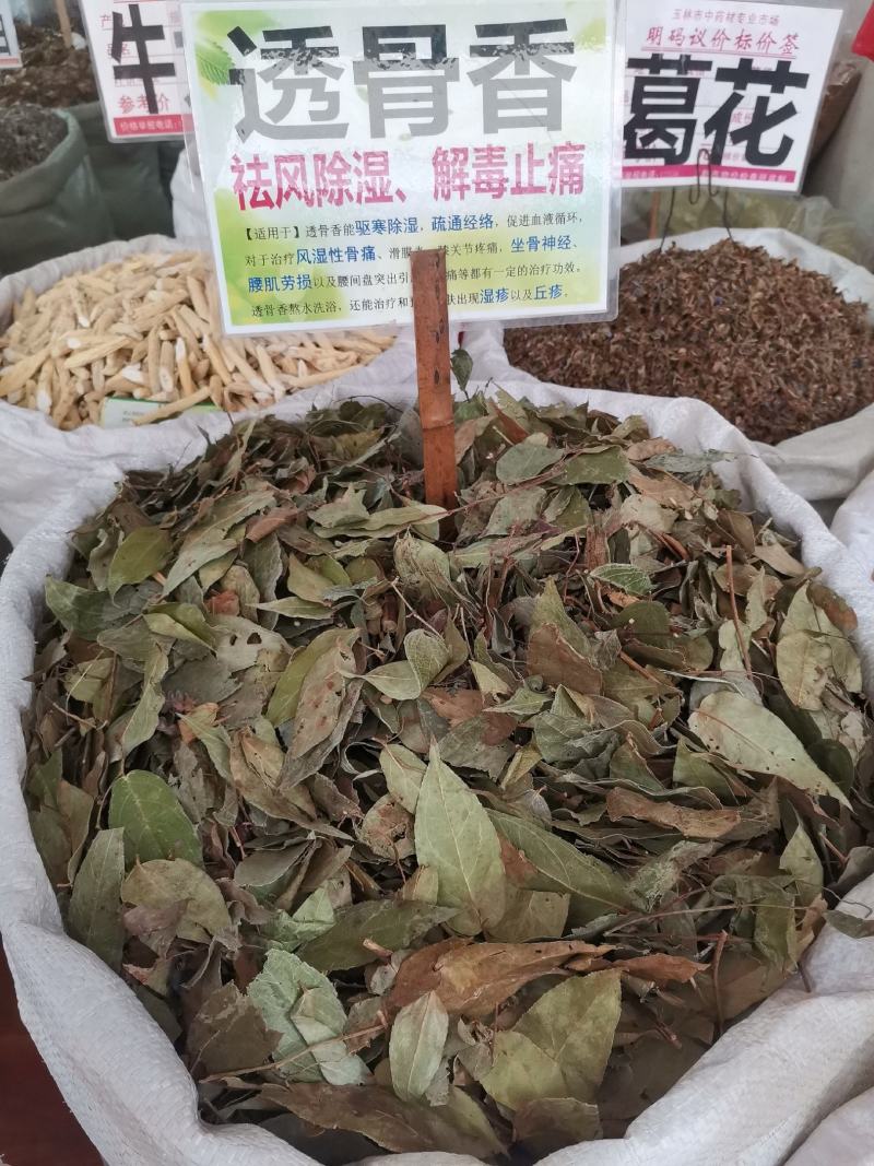 中药材，透骨香，又名满山香，香味浓欢迎来电咨询下单。