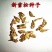 雪松种子正宗印度雪松种子雪籽宝塔松园林庭院绿植四季可播
