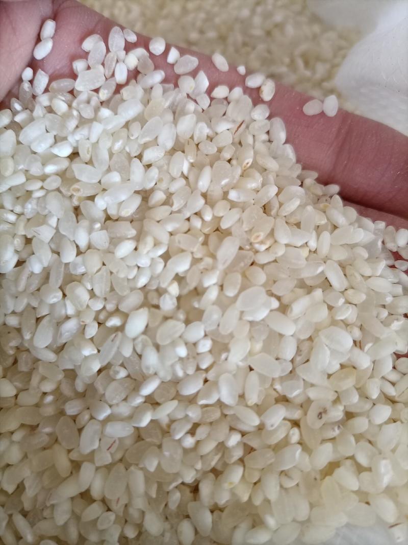 最新到货大米东北圆粒珍珠米酒米色选米便宜圆粒鸡米源厂批发