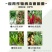 石原福帅得氟啶胺马铃薯疫病白菜根肿病25毫升杀菌剂