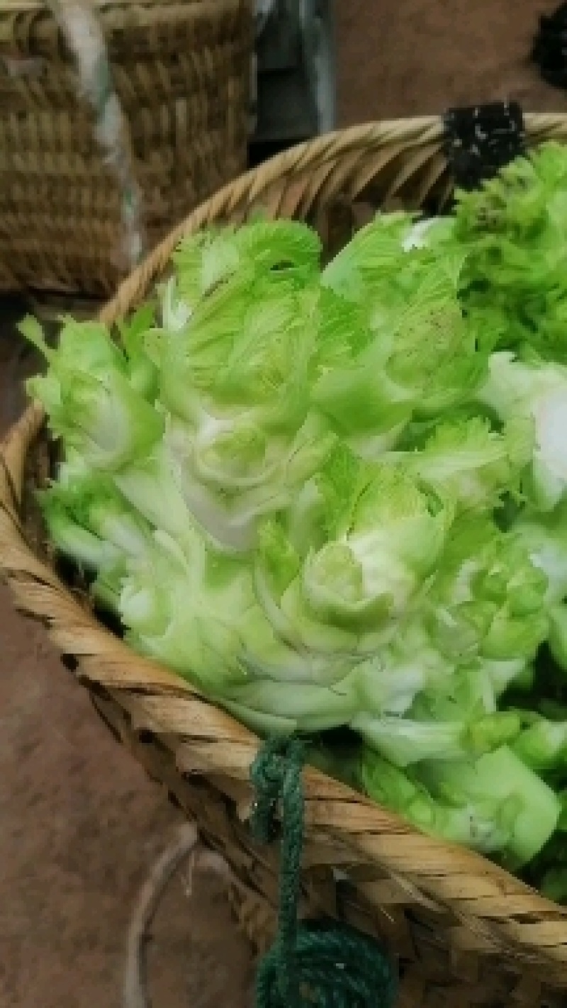 儿菜大量上市，需要的来
