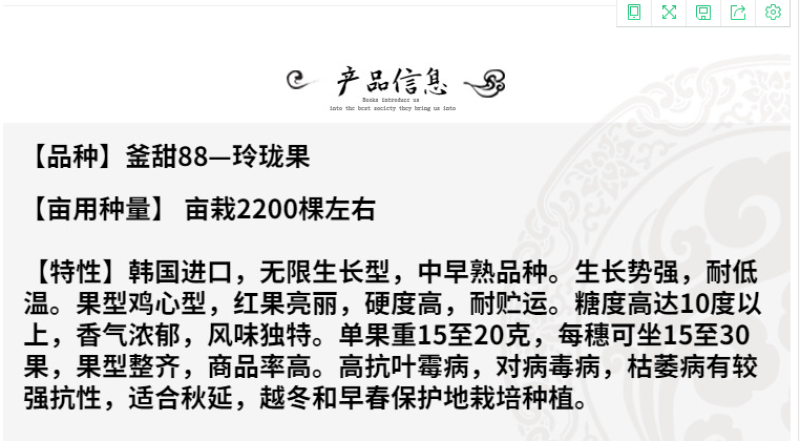 樱桃番茄种籽