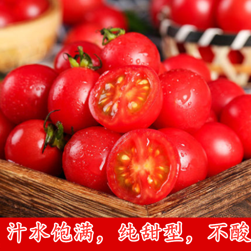 釜甜88圣女果种子樱桃番茄种籽釜山进口甜度高小红
