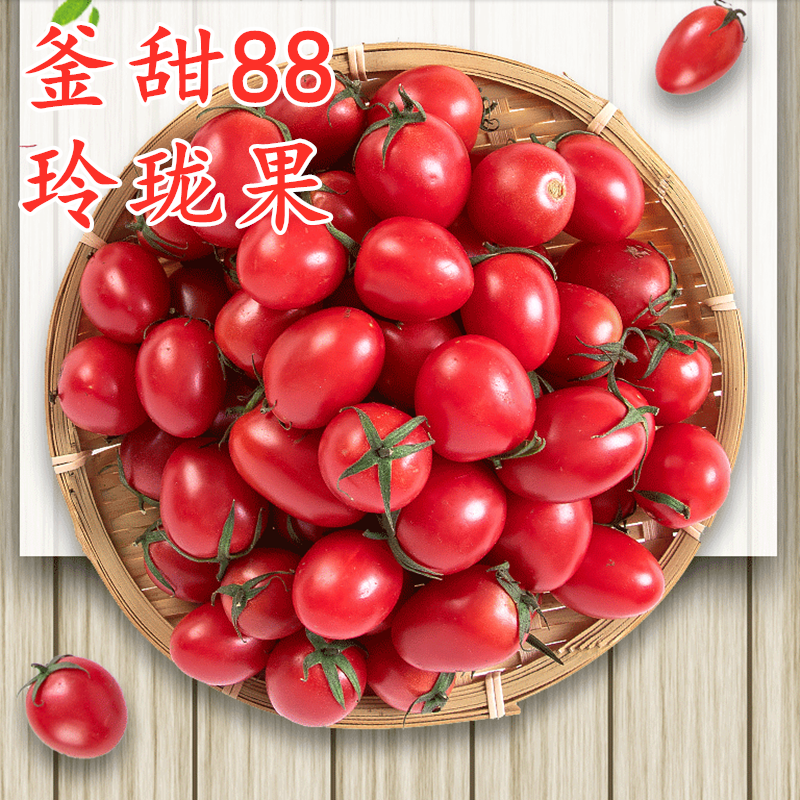釜甜88圣女果种子樱桃番茄种籽釜山进口甜度高小红