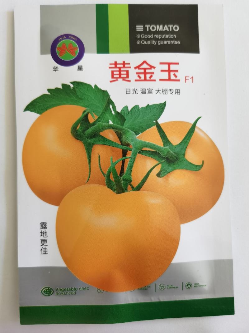 黄金玉番茄种子黄大西红柿种子不裂果水果番茄大果早熟沙瓤
