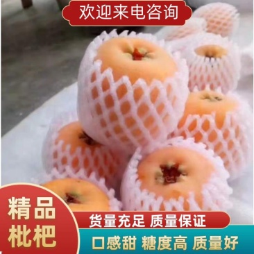 米易大五星枇杷，早中，核小肉多，口感甜，糖度高，代收。
