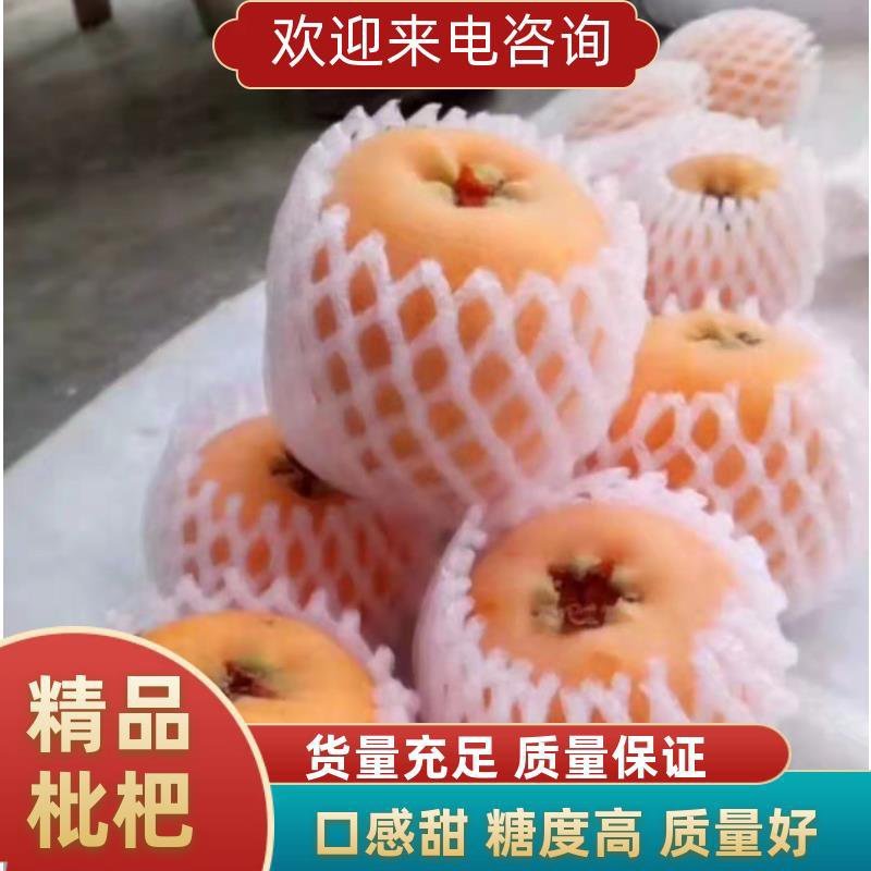 米易大五星枇杷，早中，核小肉多，口感甜，糖度高，代收。