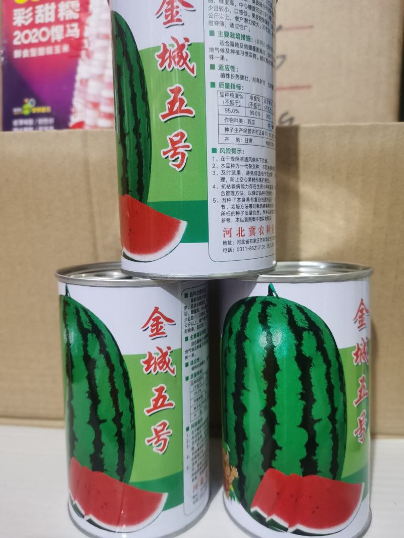 金城五号抗旱耐脊薄80g/盒抗病高甜丰产双红瓤
