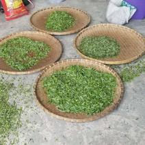 云南省红河州。哈尼梯田农产品。毛尖茶。绿茶，红茶，石榴，