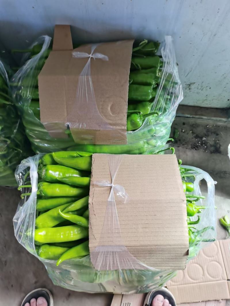 精品热销大量上市欢迎各位老板前来选购