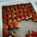 加工果草莓大果【单皮草莓】精选热销中，欢迎前来选购