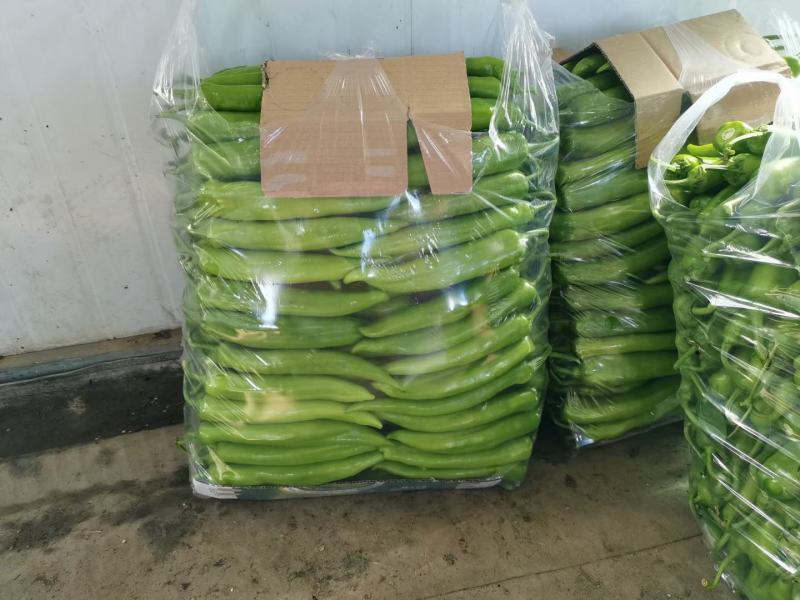 精品热销大量上市欢迎各位老板前来选购
