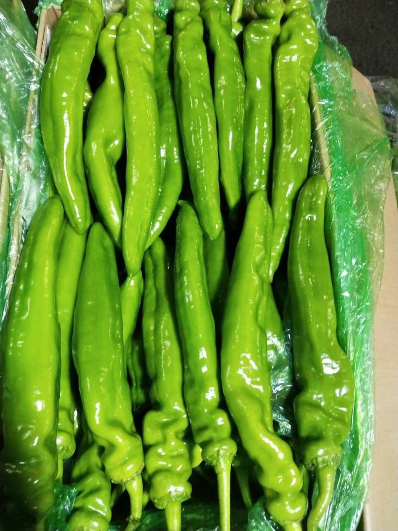 精品热销大量上市欢迎各位老板前来选购