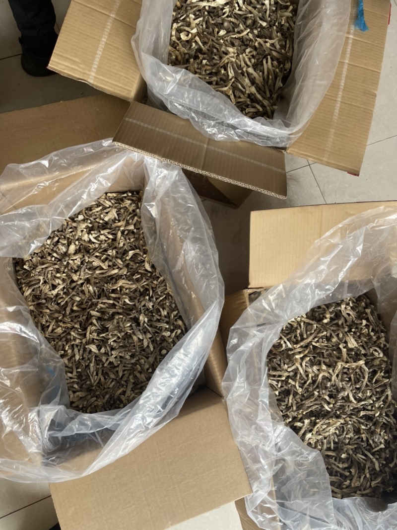 精品细长鹿茸菇【带帽】自产自销，源头货，咨询来