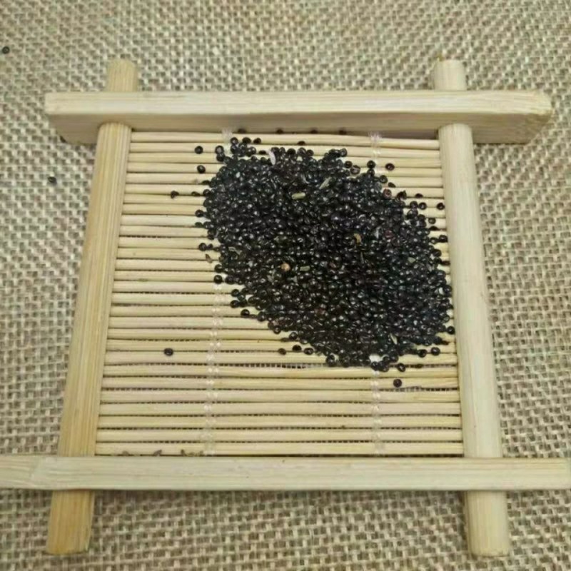 中药材新货青葙子无硫包邮优质当天发货质量保证