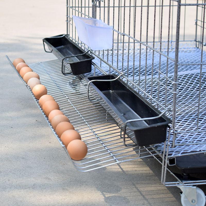 鸡笼子家用大号包邮养殖笼家用养鸡笼子自动滚蛋蛋鸡笼