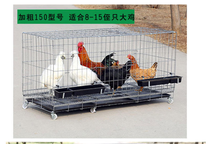 鸡笼子家用大号包邮养殖笼家用养鸡笼子自动滚蛋蛋鸡笼