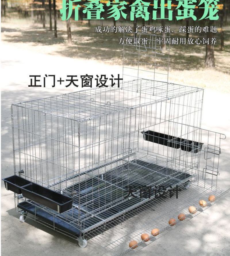 鸡笼子家用大号包邮养殖笼家用养鸡笼子自动滚蛋蛋鸡笼