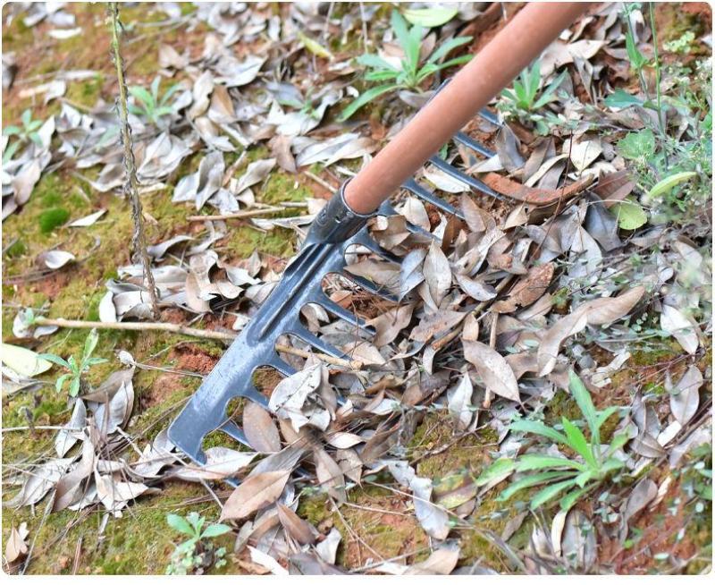 加厚锰钢农用工具耙子家用除草松土九齿钉耙多功能松土铁耙搂
