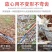 加厚锰钢农用工具耙子家用除草松土九齿钉耙多功能松土铁耙搂