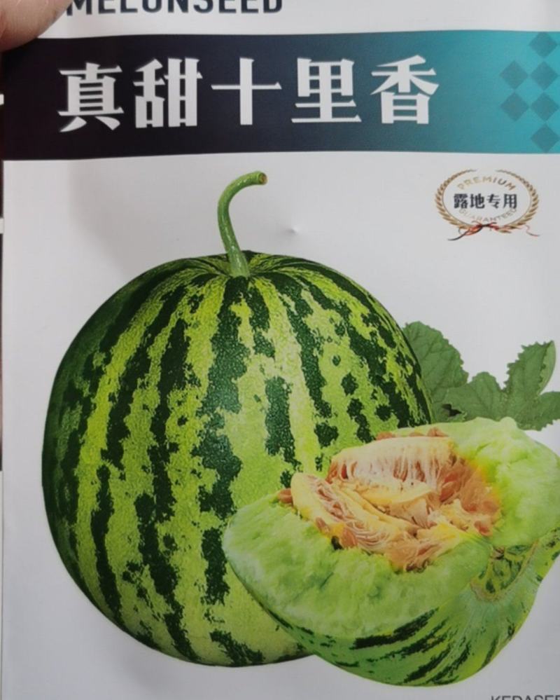 十里香甜瓜种子八里香甜香掉牙花皮甜瓜种子早熟高糖