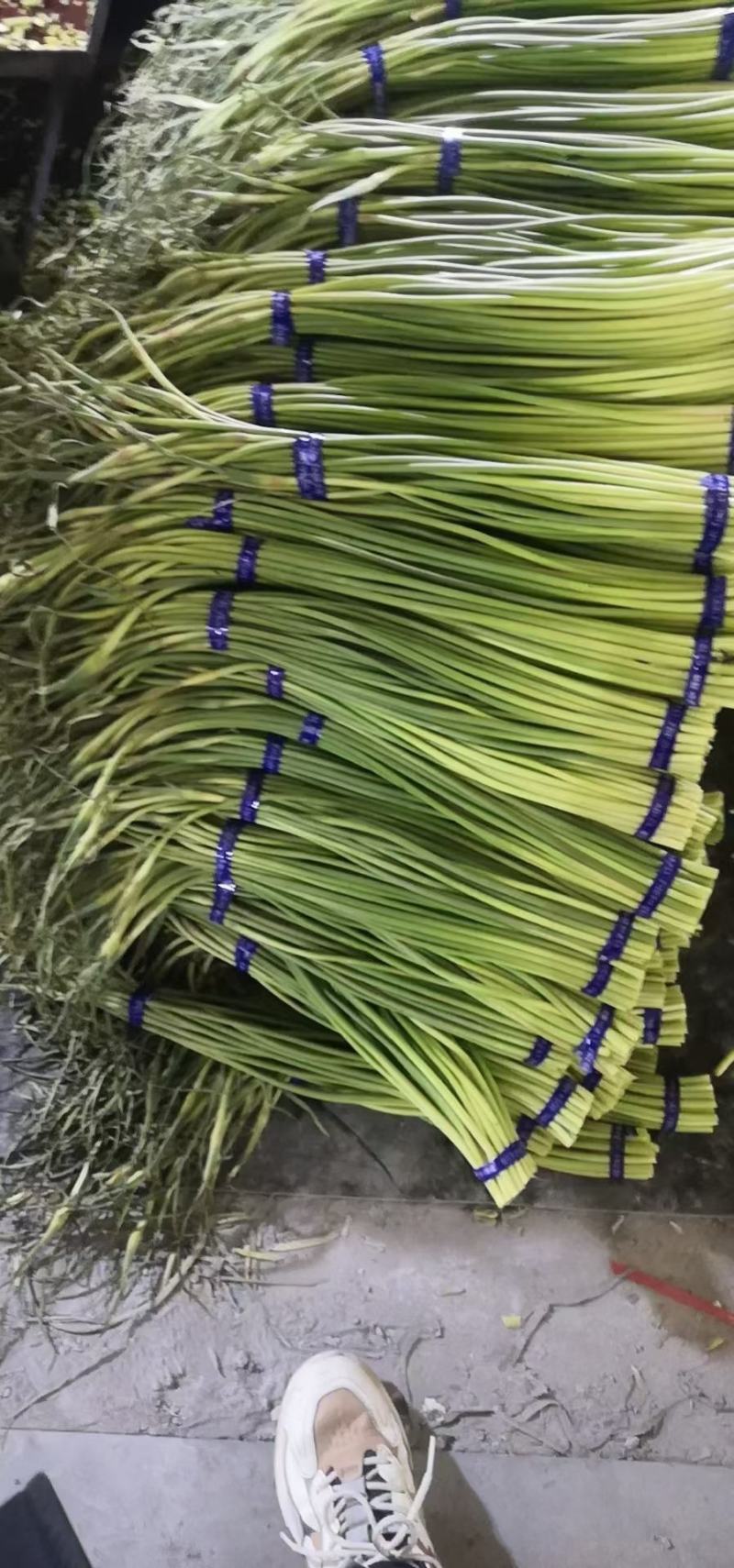 蒜薹精品