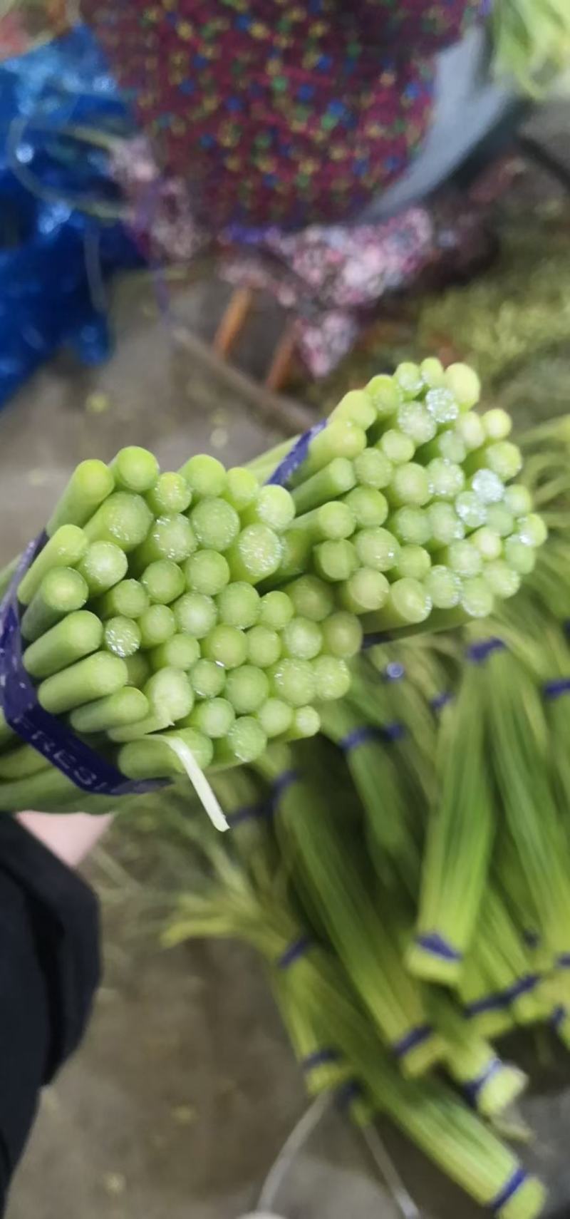 蒜薹精品