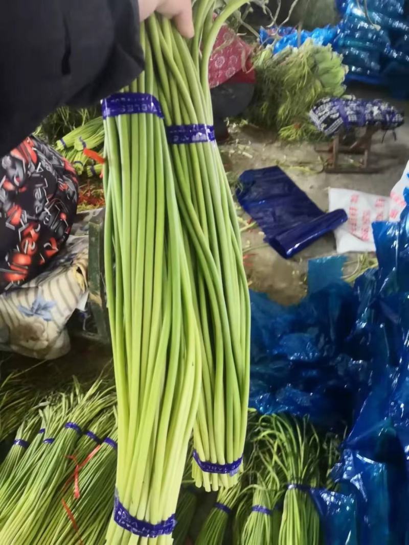蒜薹精品