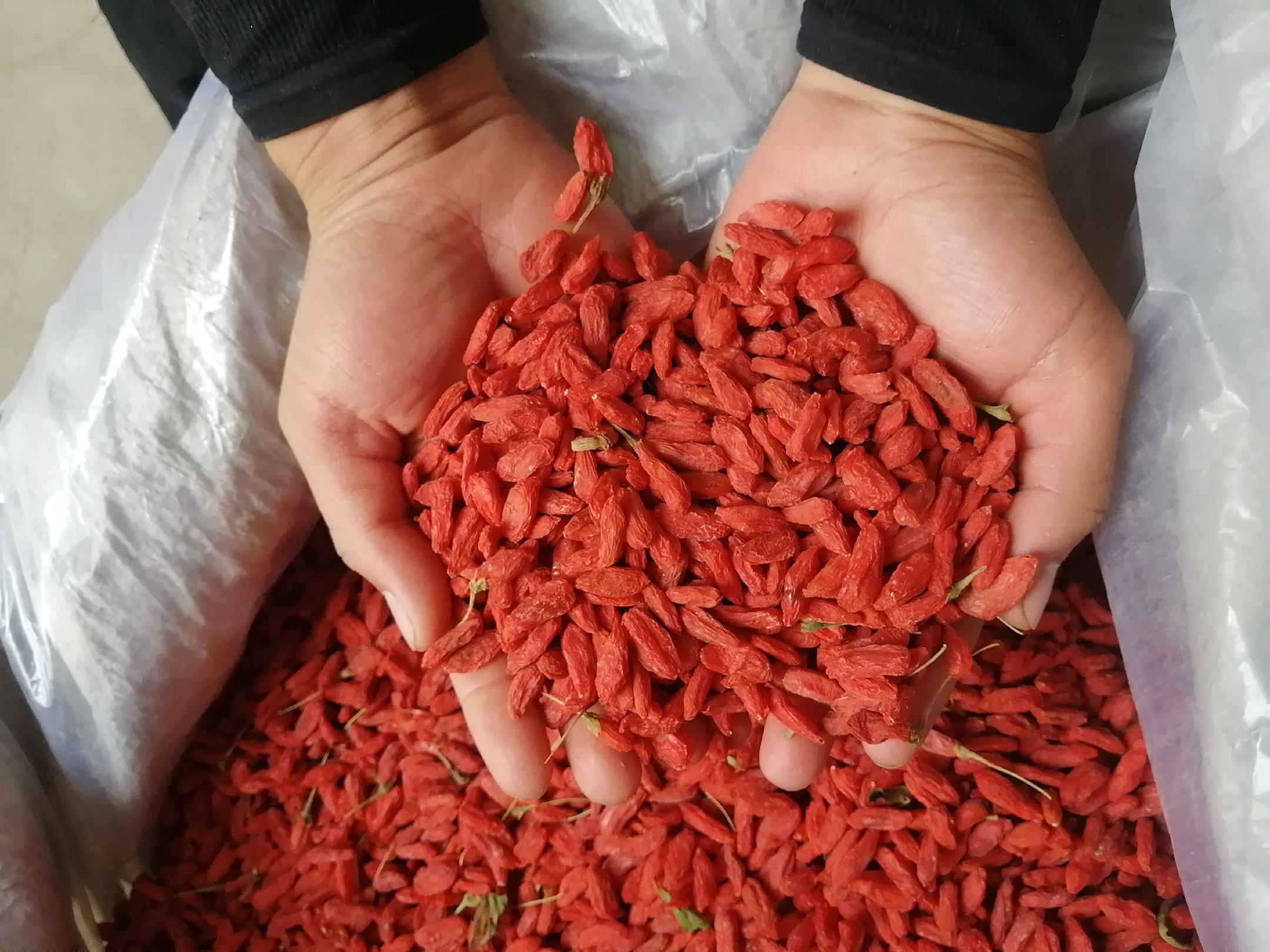 红枸杞泡水饮用