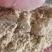小米油糠蛋白15脂肪15大量有货养殖专用
