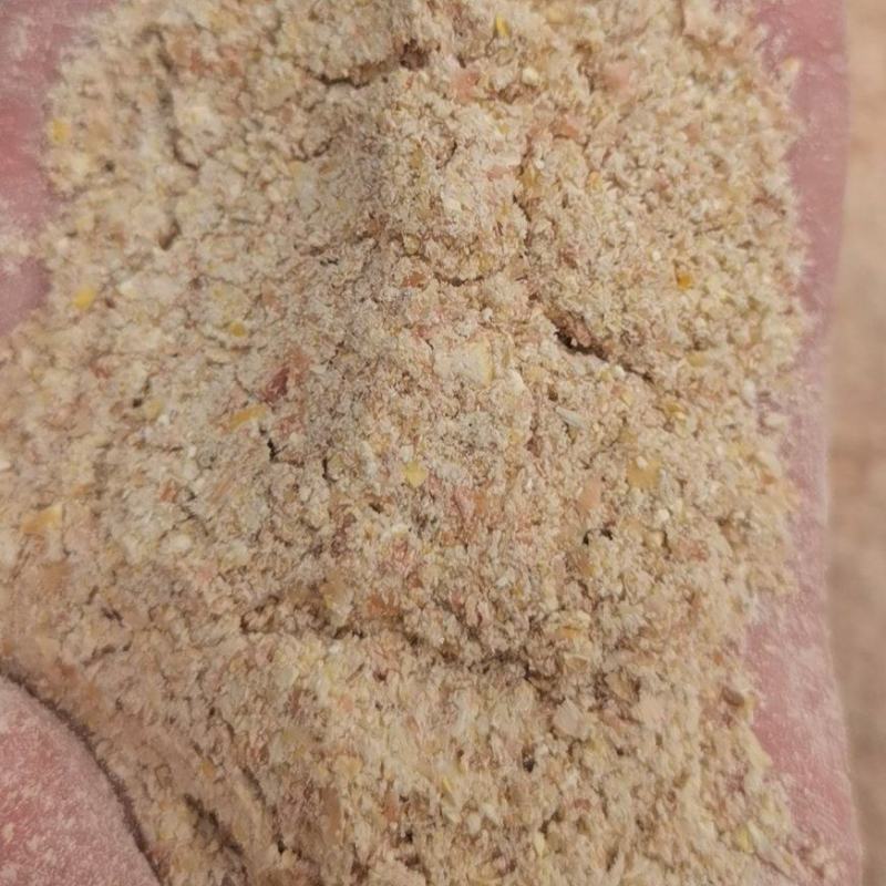 小米油糠蛋白15脂肪15大量有货养殖专用
