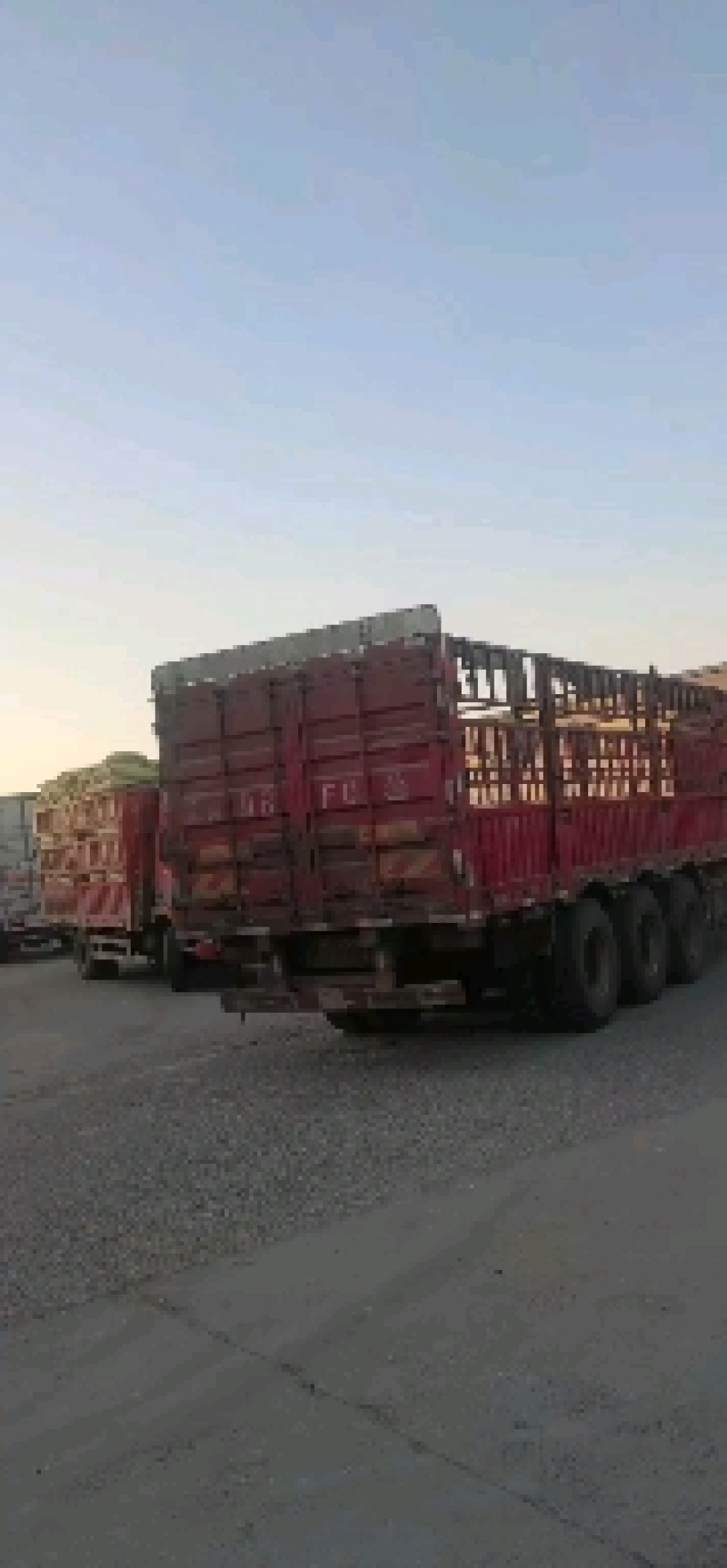小米油糠蛋白15脂肪15大量有货养殖专用