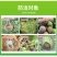 日本石原科佳氰霜唑晚疫病霜霉病疫病农药杀菌剂