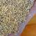 碎小米，东北小米加工厂直发酿酒专用碎小米大量有货