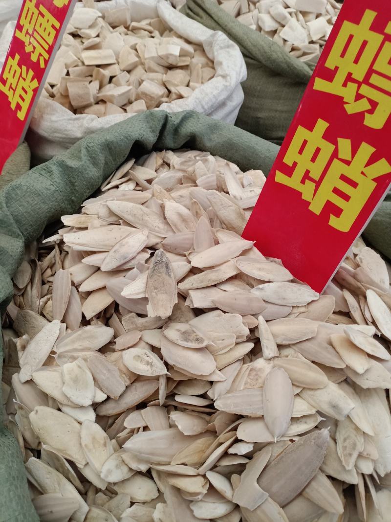 海螵蛸，各种规格海螵蛸质量保证经营各种中药材欢迎咨询合作