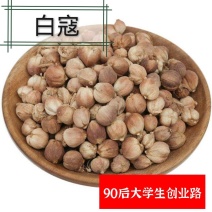 白扣白寇白豆蔻白豆扣白扣叩香料调料卤肉料中药材火锅料