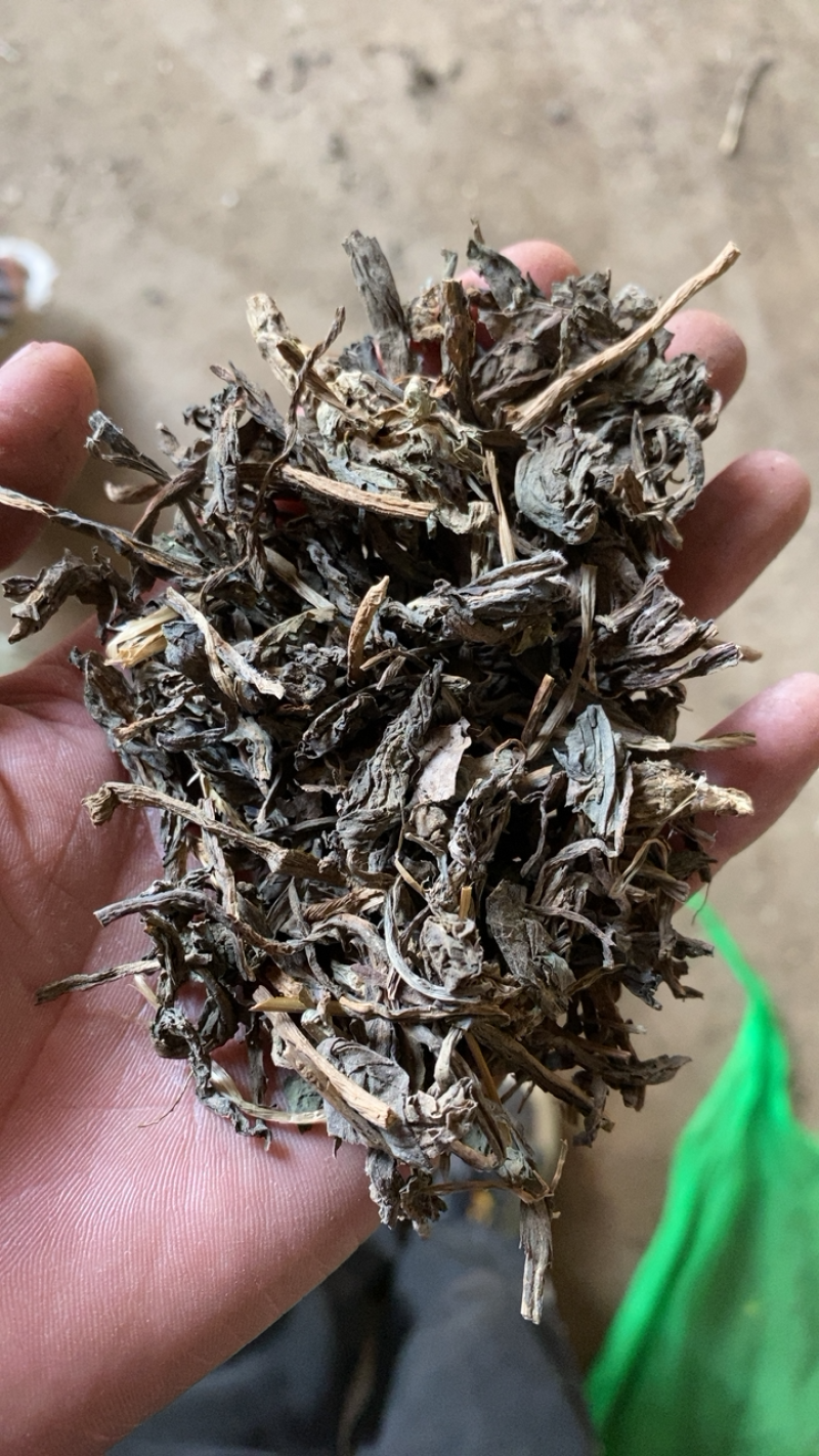 大青叶产地直销可打粉质量一般供应各种中药材