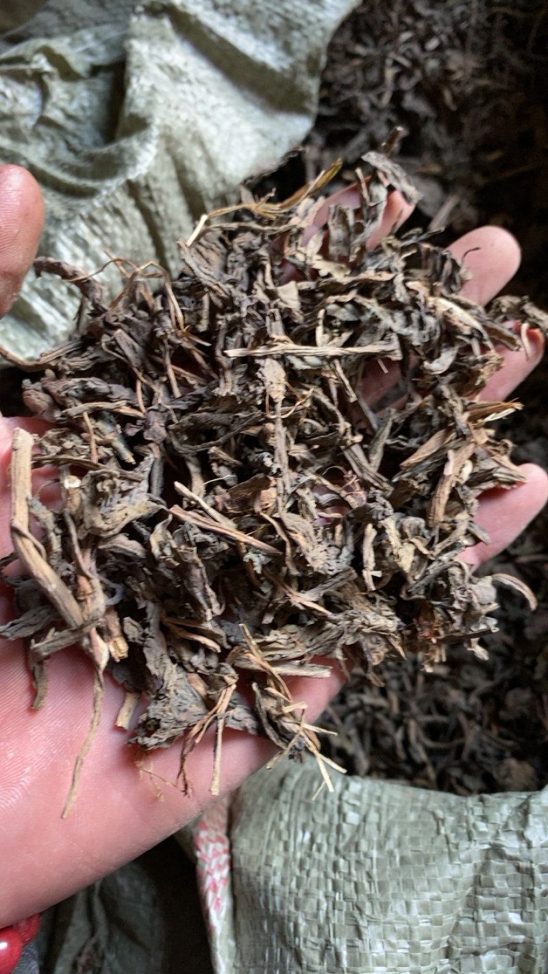 大青叶产地直销可打粉质量一般供应各种中药材