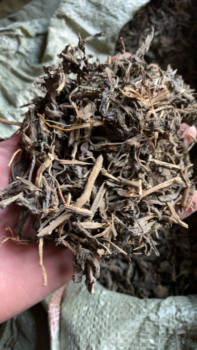大青叶产地直销可打粉质量一般供应各种中药材