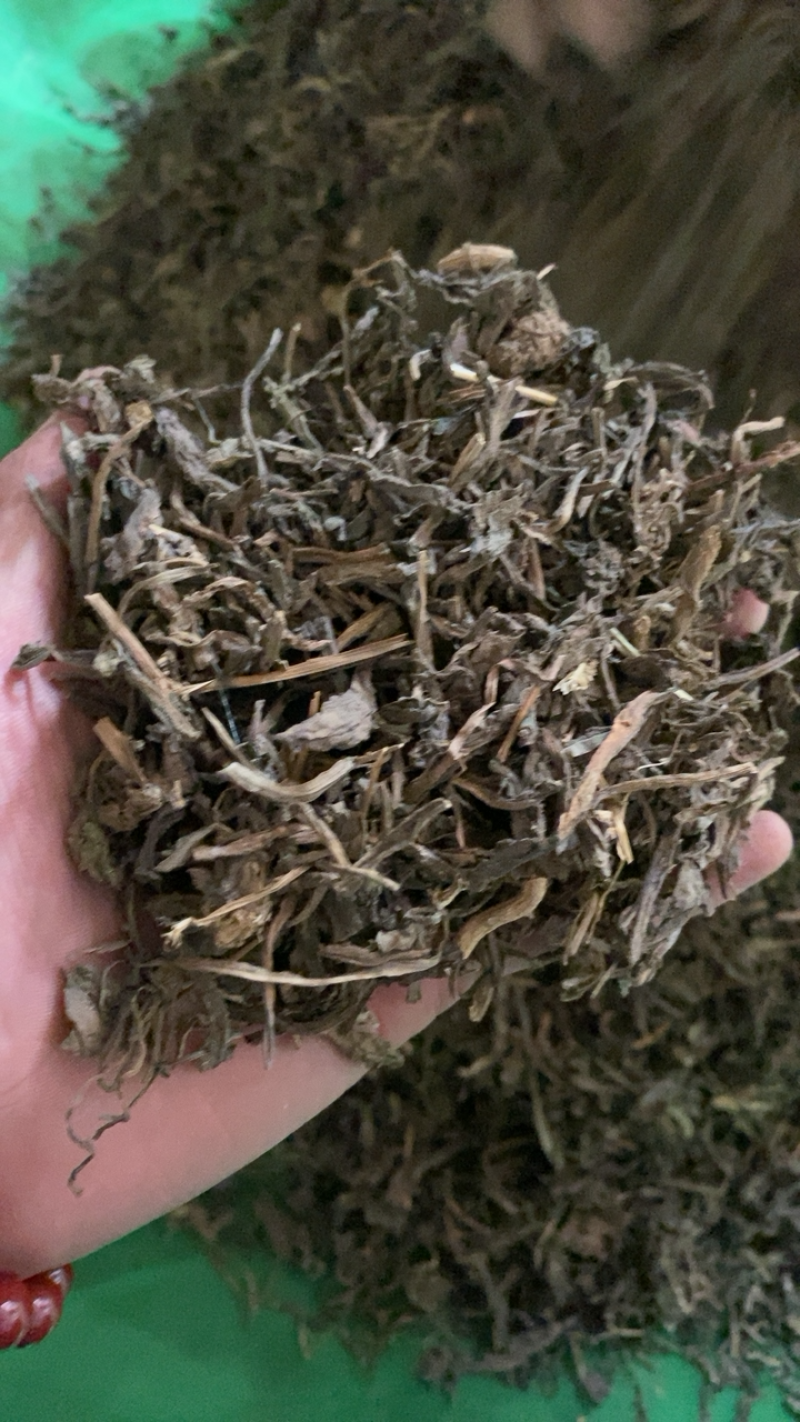 大青叶产地直销可打粉质量一般供应各种中药材