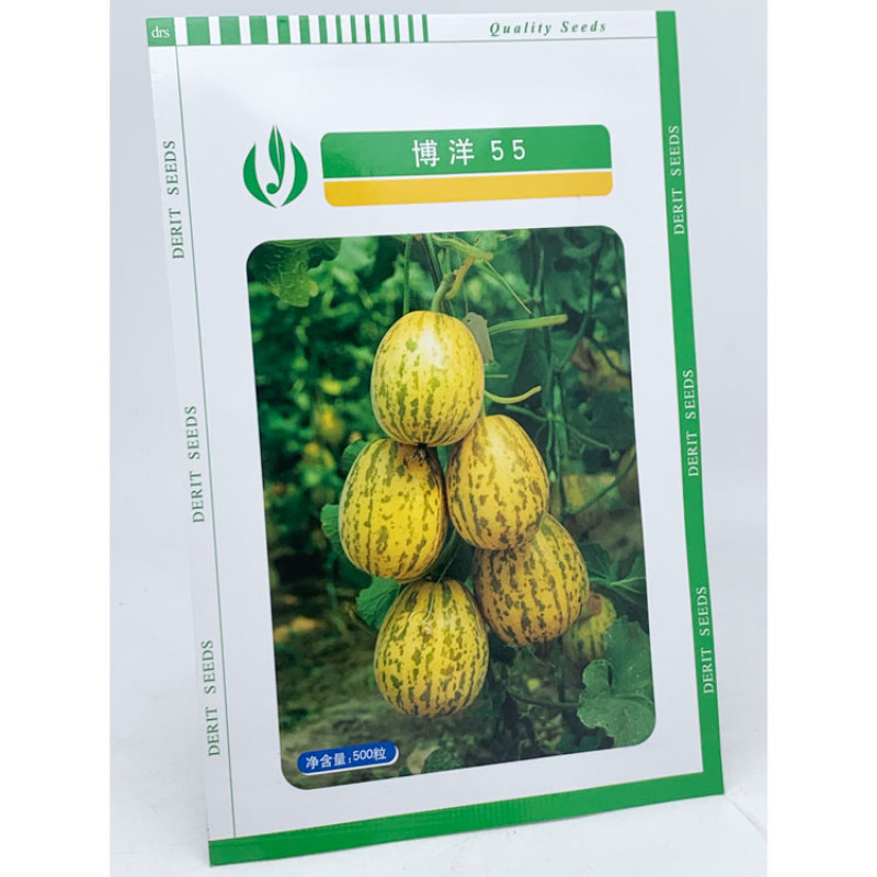 博洋55豹点甜瓜种子花白皮薄皮白肉甜瓜种子500粒原装