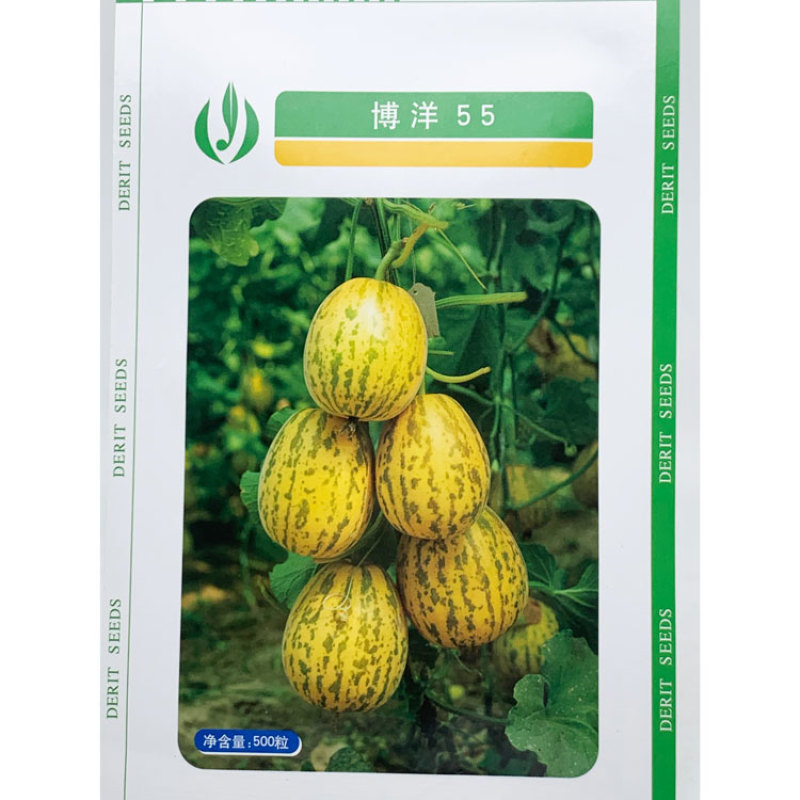 博洋55豹点甜瓜种子花白皮薄皮白肉甜瓜种子500粒原装